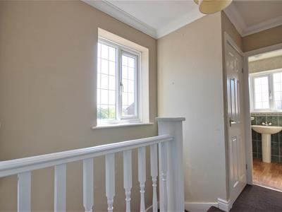 Picture 17